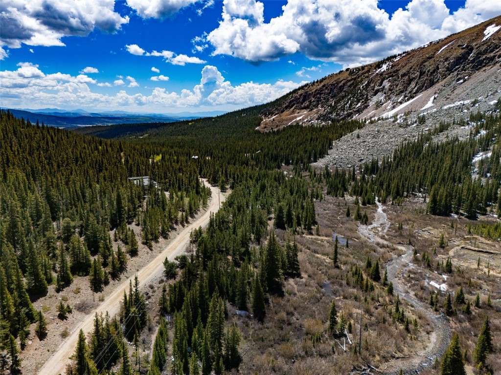 Tbd Forest Service Road 451 Alma CO 80420