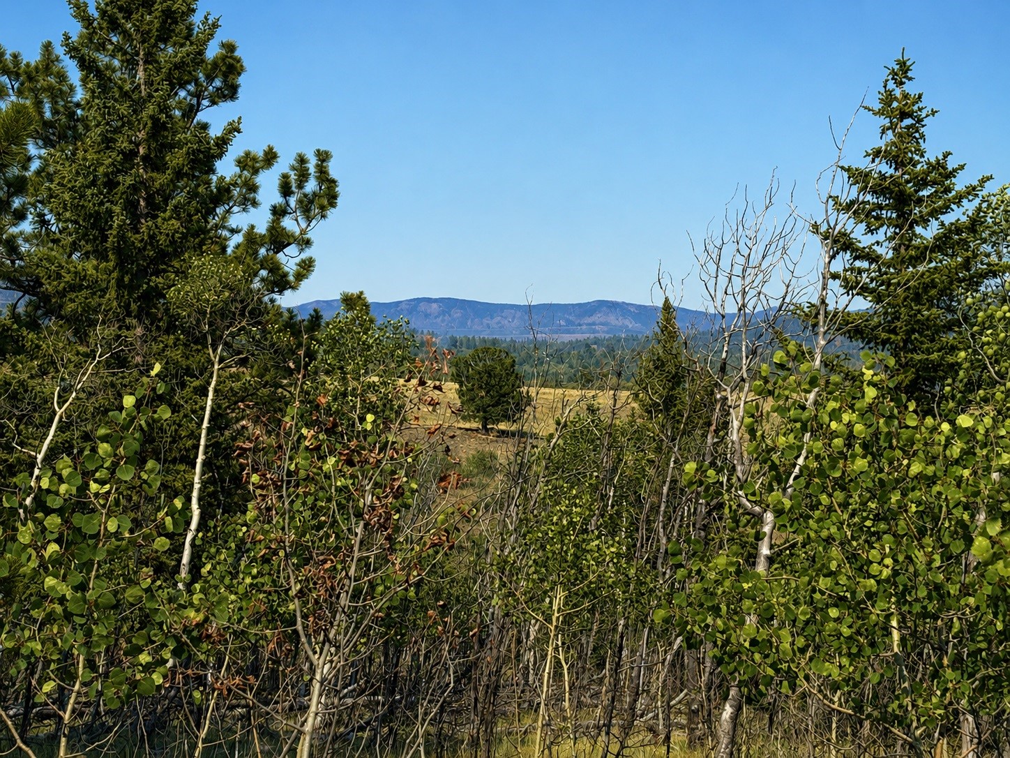 250 Pinto Trail Como CO 80432