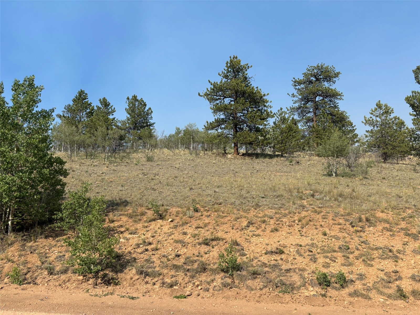 250 Pinto Trail Como CO 80432