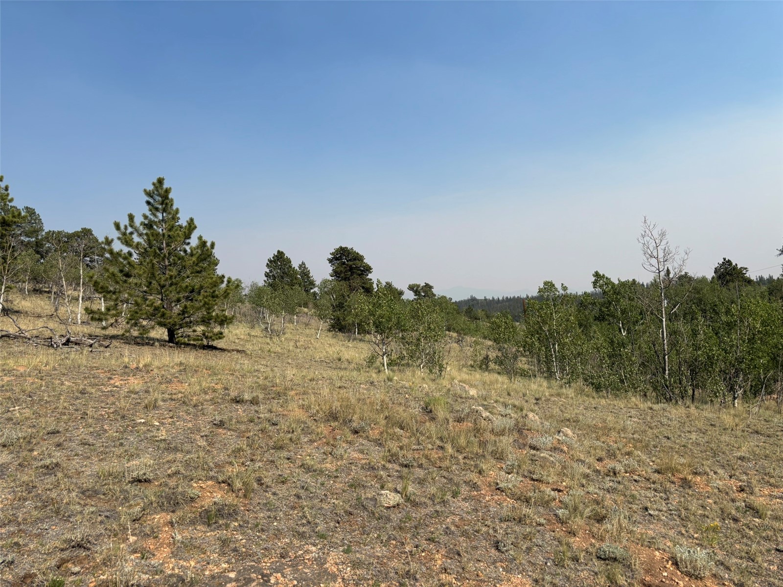 250 Pinto Trail Como CO 80432