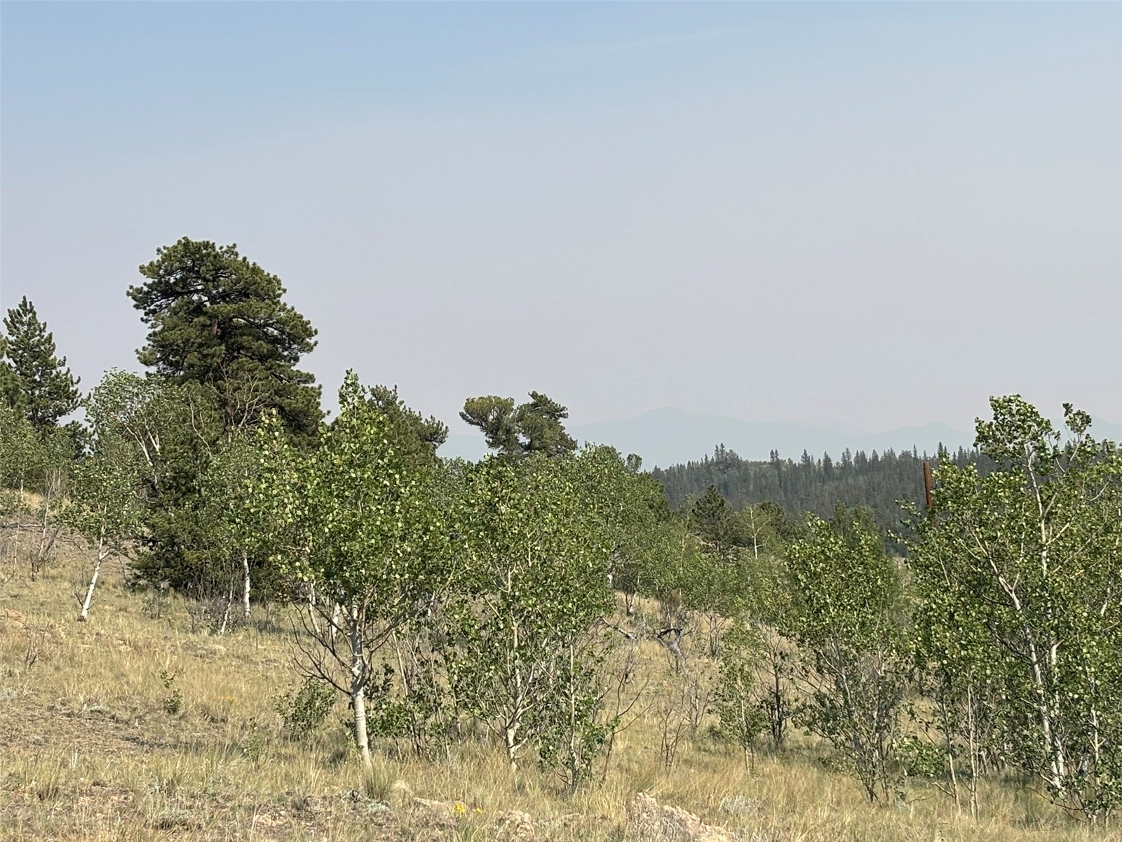 250 Pinto Trail Como CO 80432