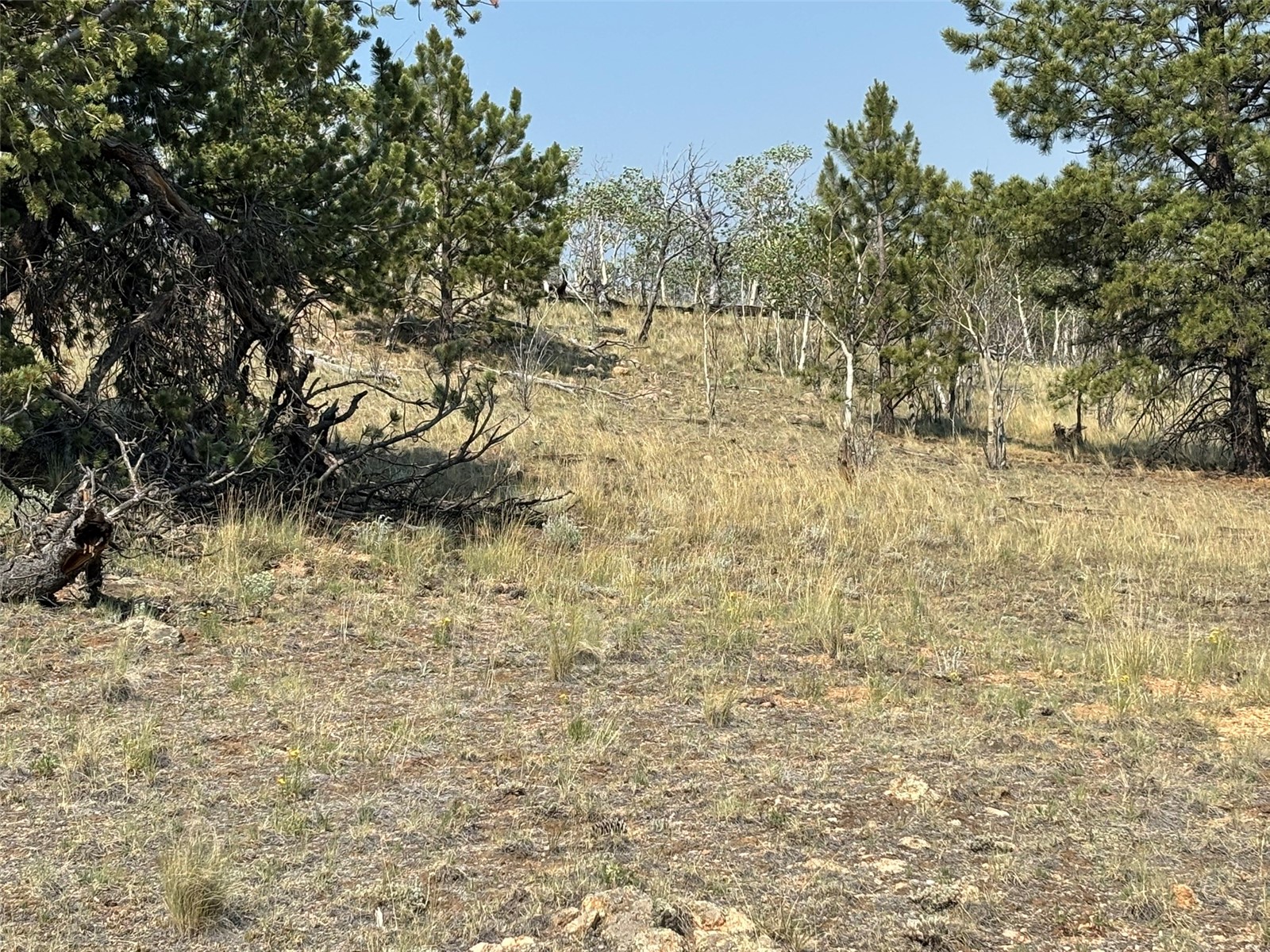 250 Pinto Trail Como CO 80432