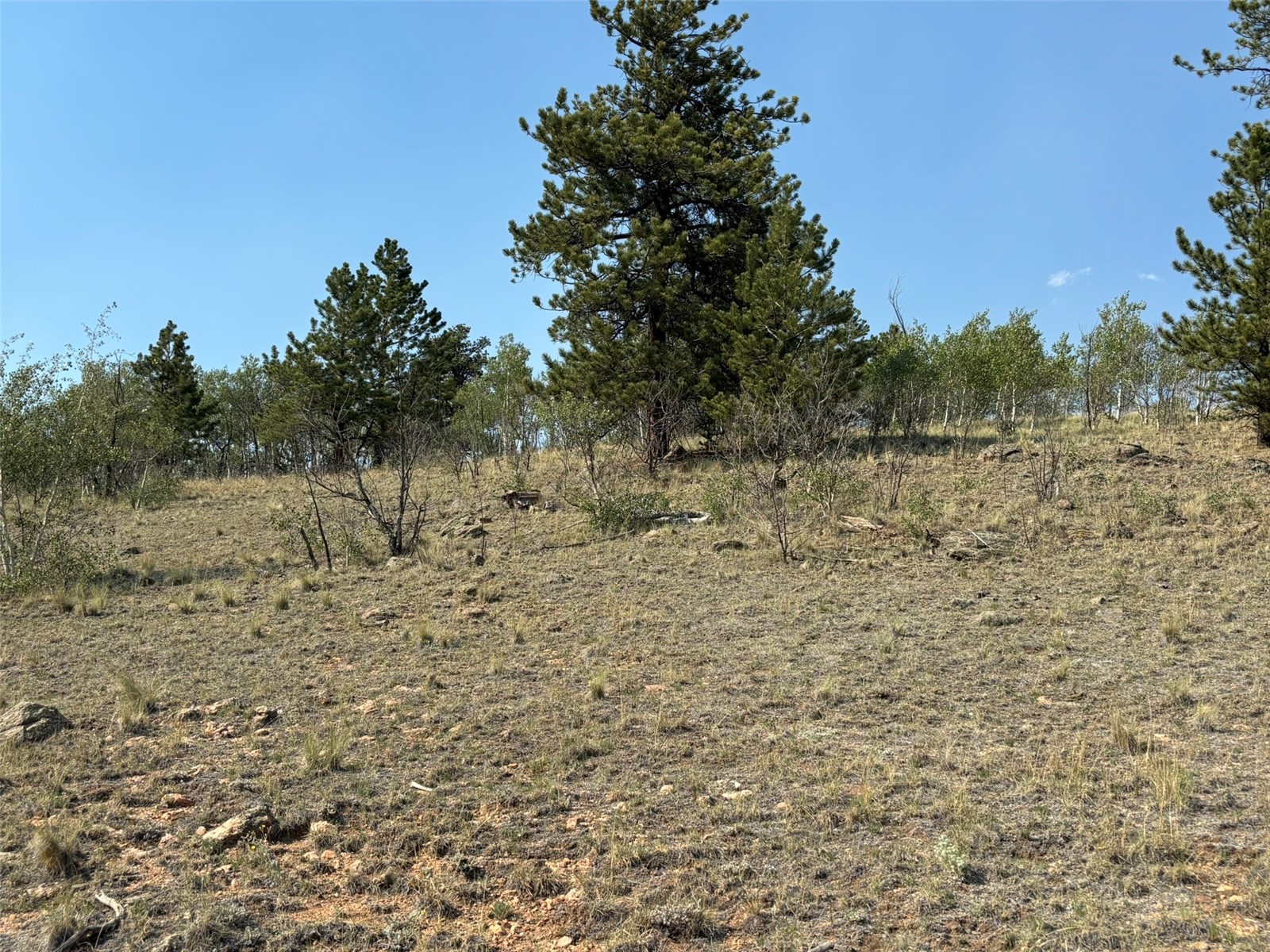 250 Pinto Trail Como CO 80432
