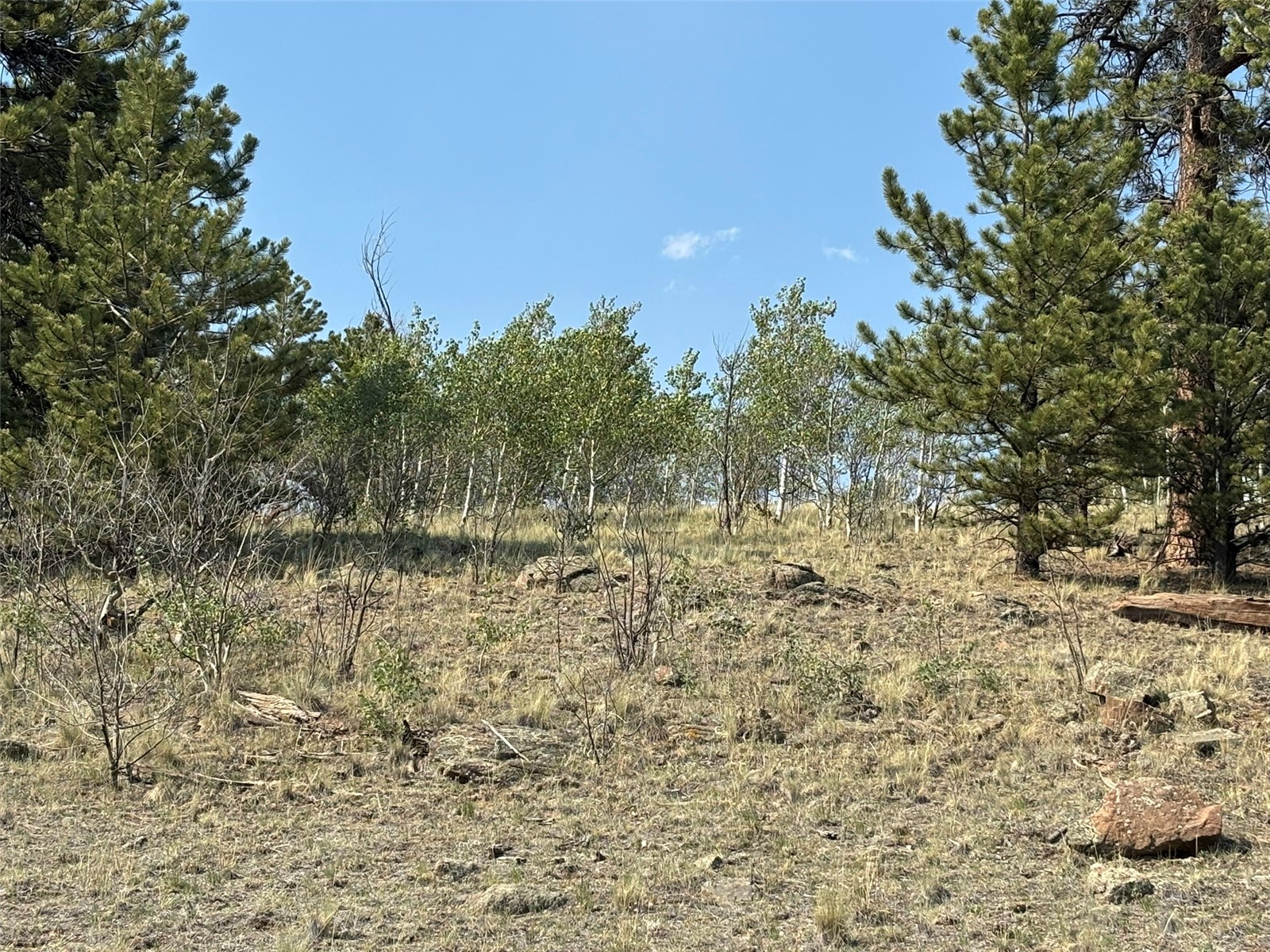 250 Pinto Trail Como CO 80432