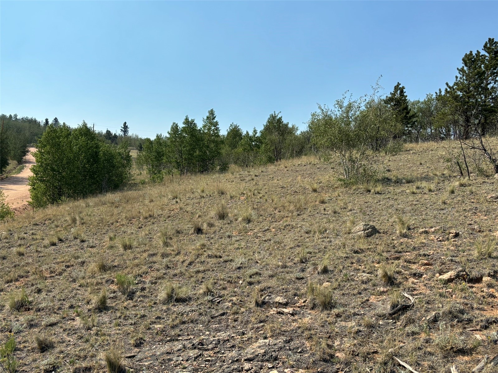 250 Pinto Trail Como CO 80432