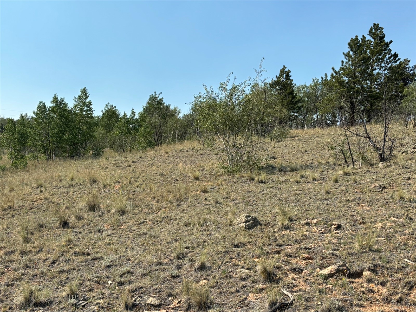 250 Pinto Trail Como CO 80432