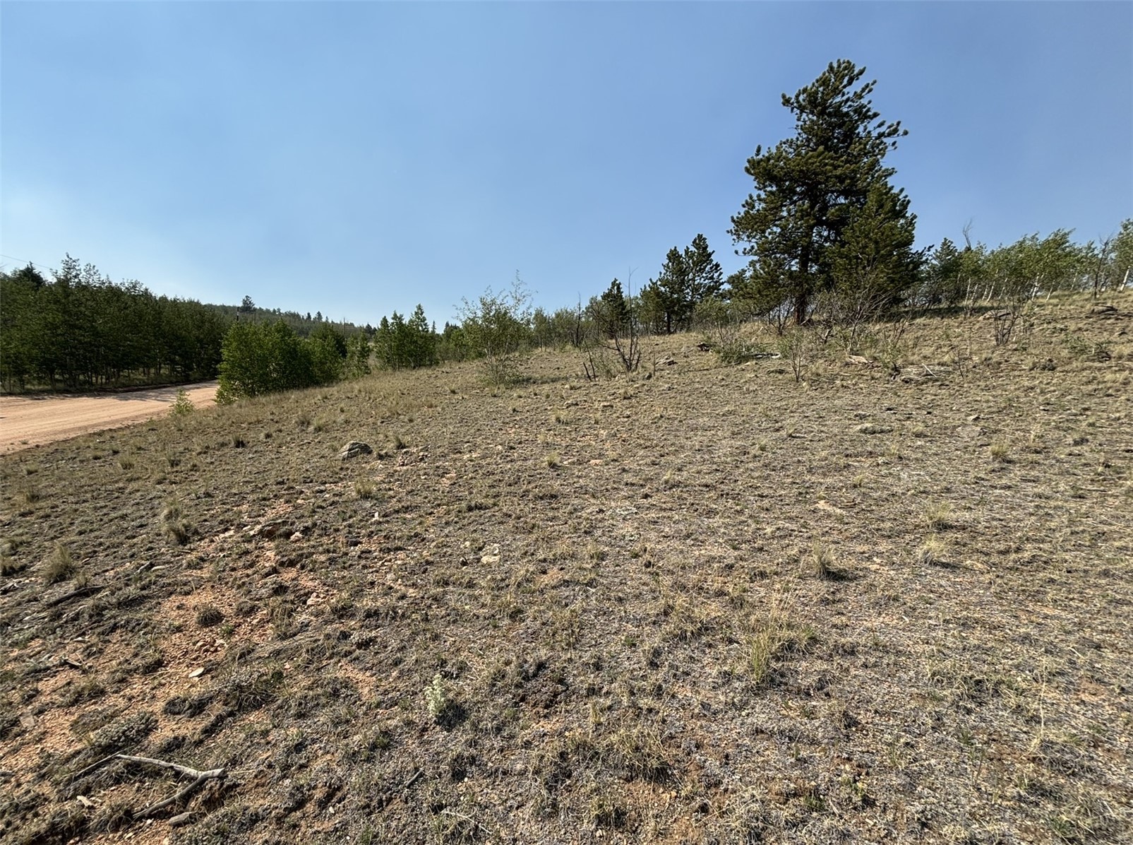 250 Pinto Trail Como CO 80432