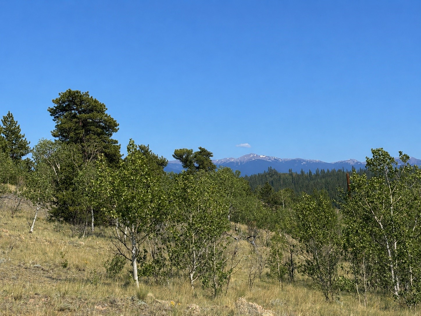 250 Pinto Trail Como CO 80432