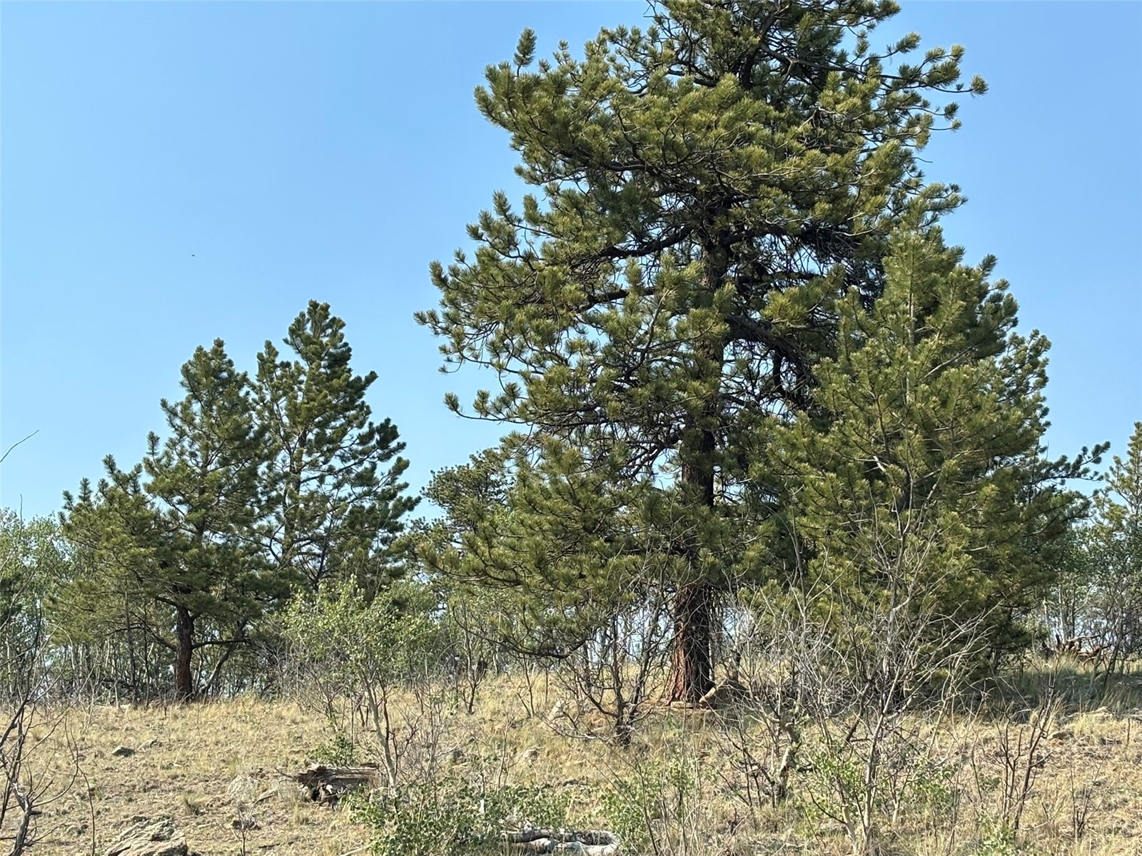 250 Pinto Trail Como CO 80432