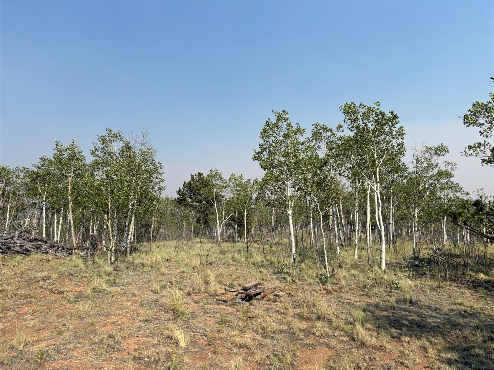 250 Pinto Trail Como CO 80432
