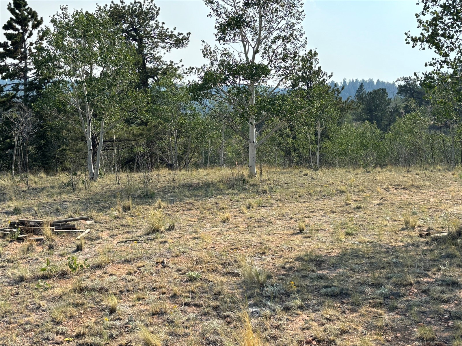 250 Pinto Trail Como CO 80432