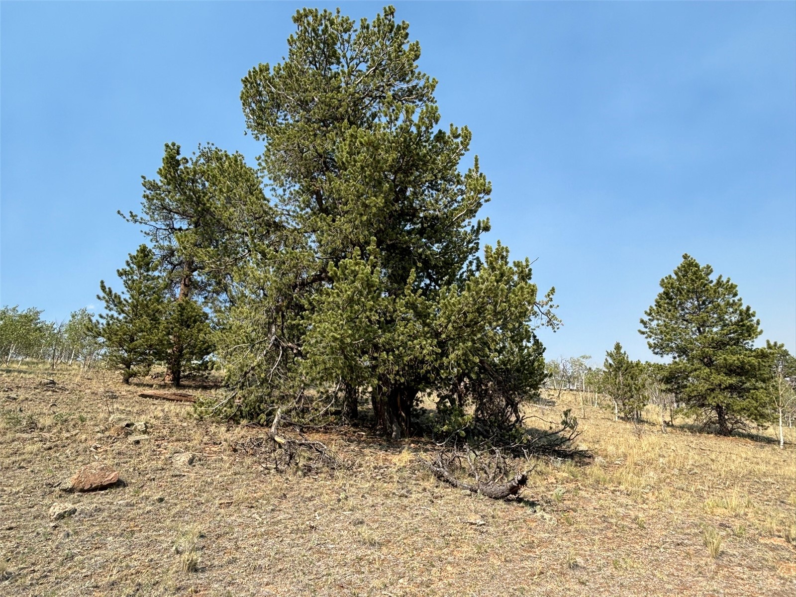 250 Pinto Trail Como CO 80432
