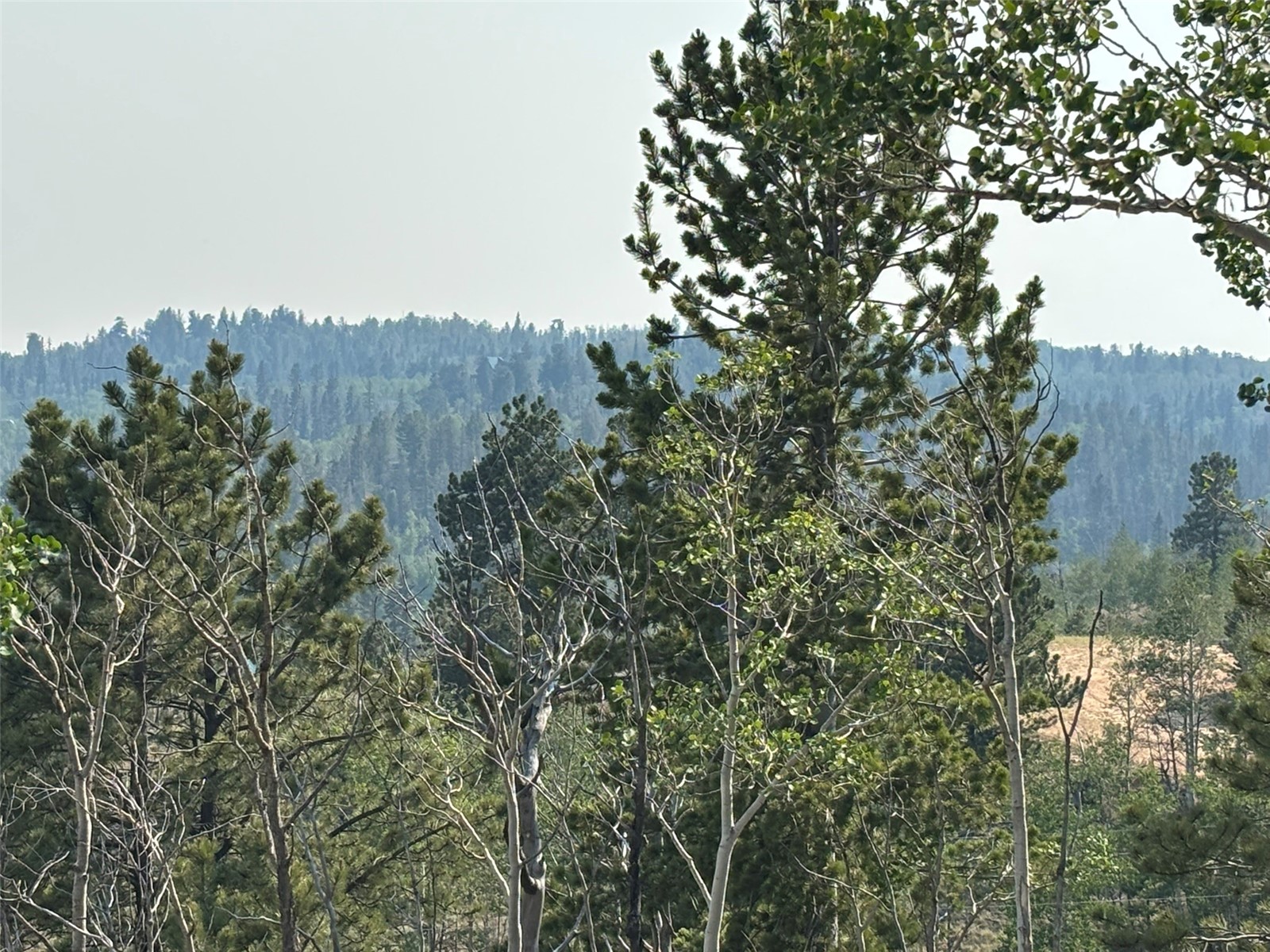 250 Pinto Trail Como CO 80432