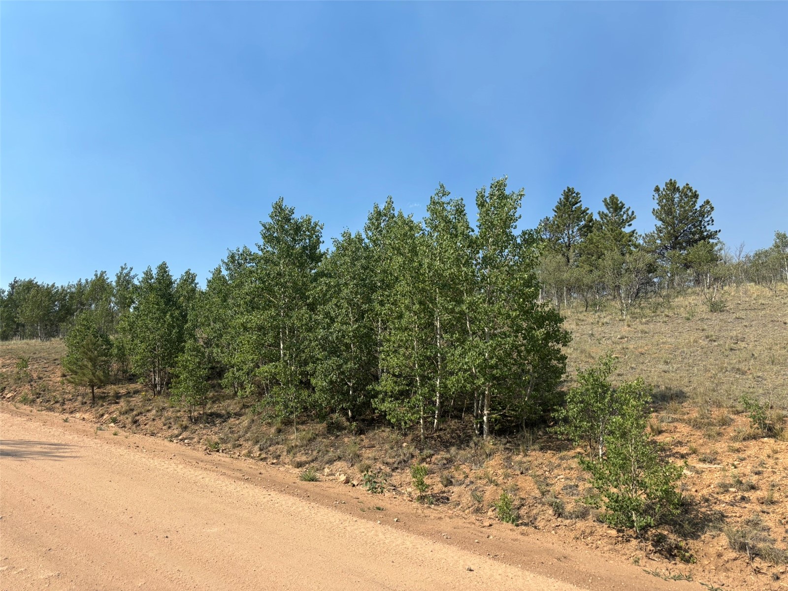 250 Pinto Trail Como CO 80432