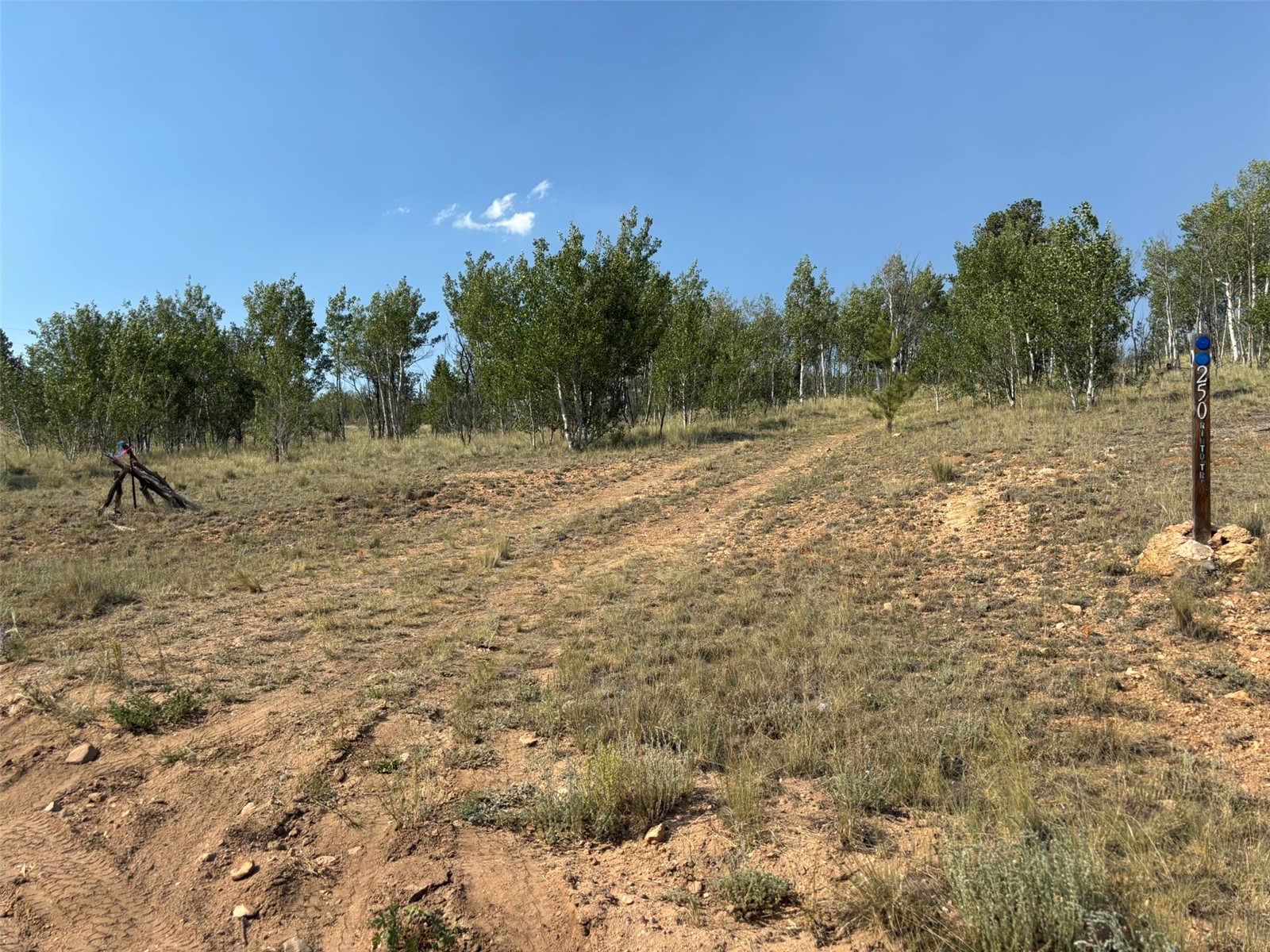 250 Pinto Trail Como CO 80432