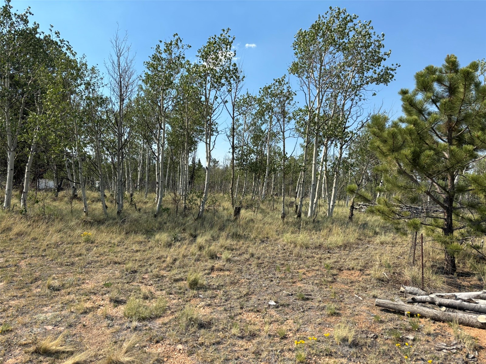 250 Pinto Trail Como CO 80432