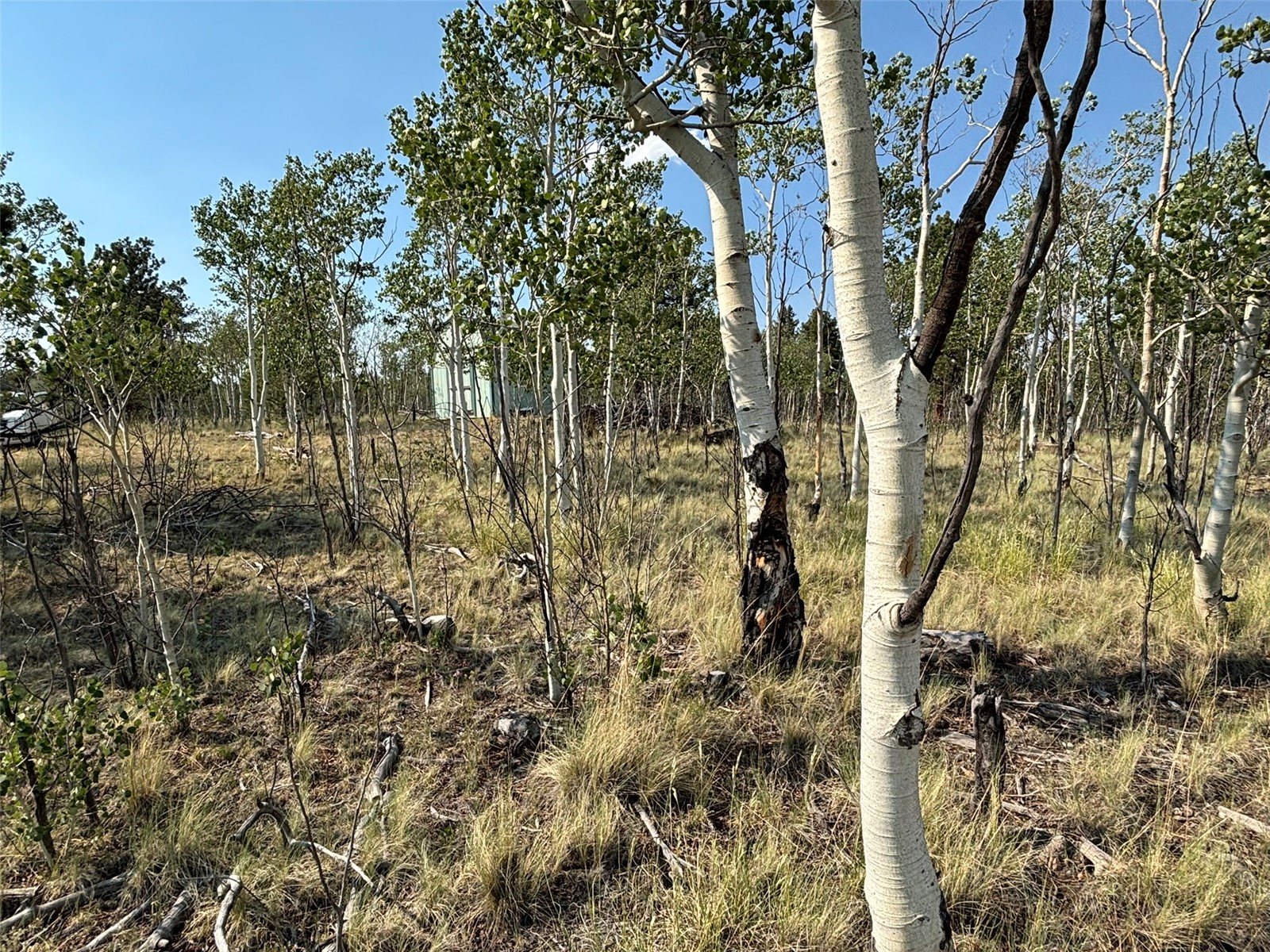 250 Pinto Trail Como CO 80432