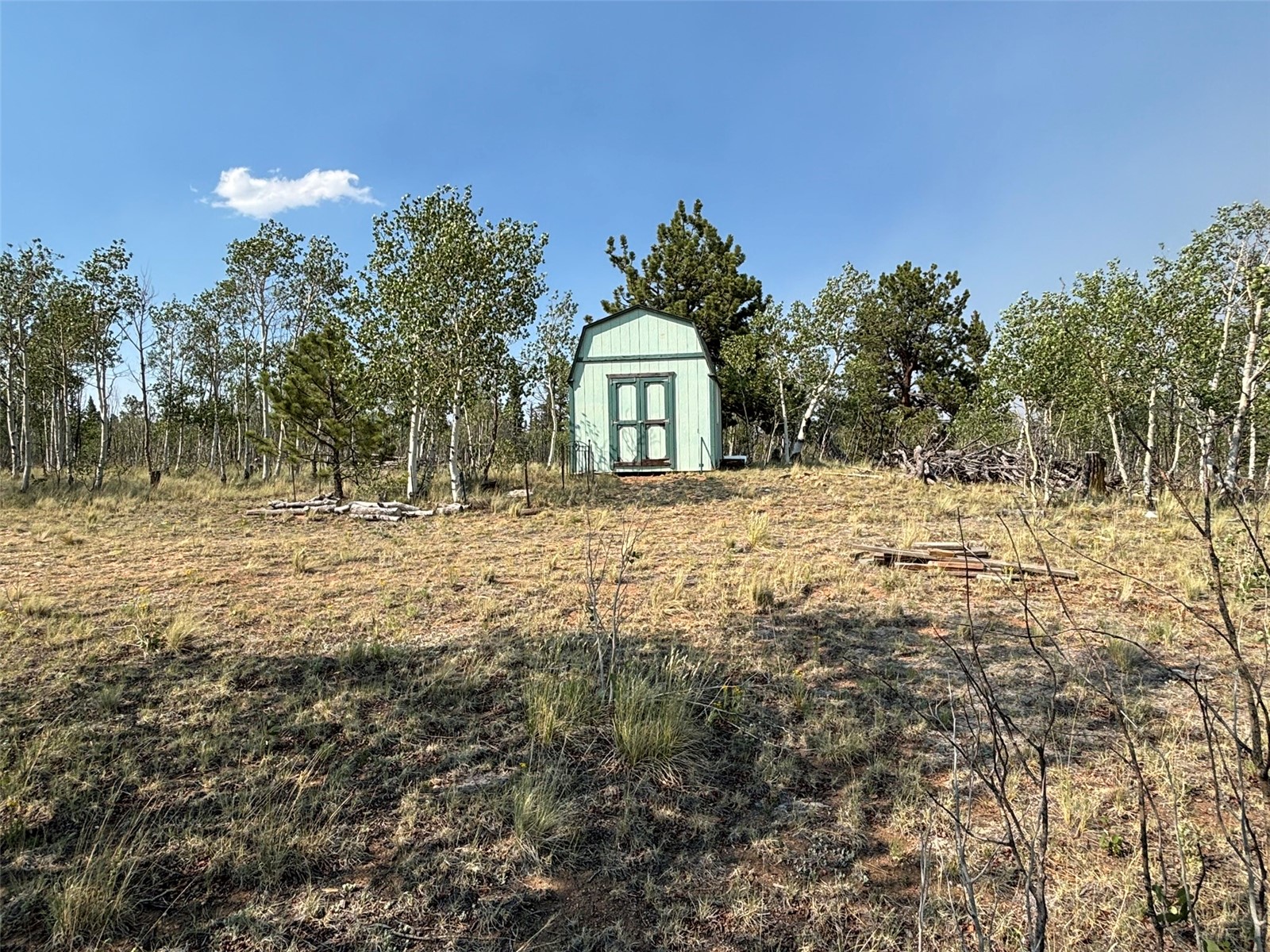 250 Pinto Trail Como CO 80432