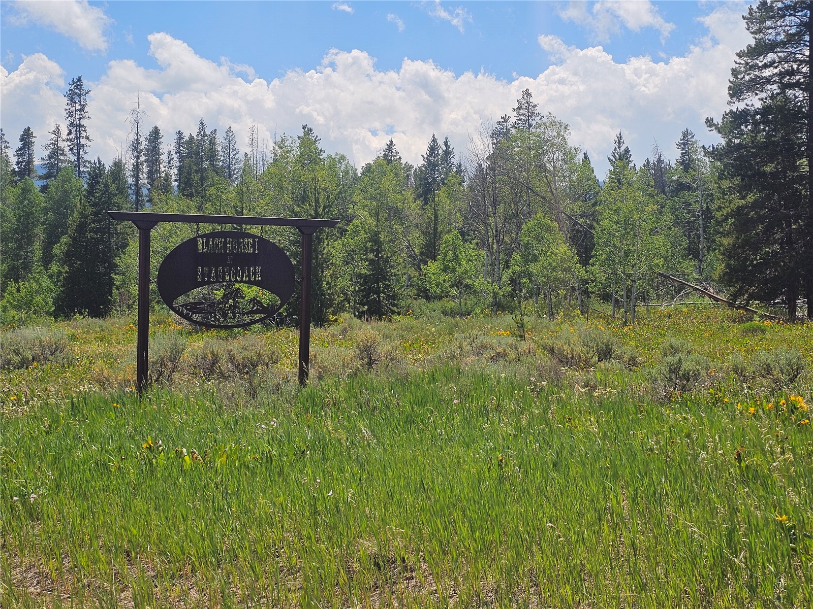 33415 Filly Trail Oak Creek CO 80467