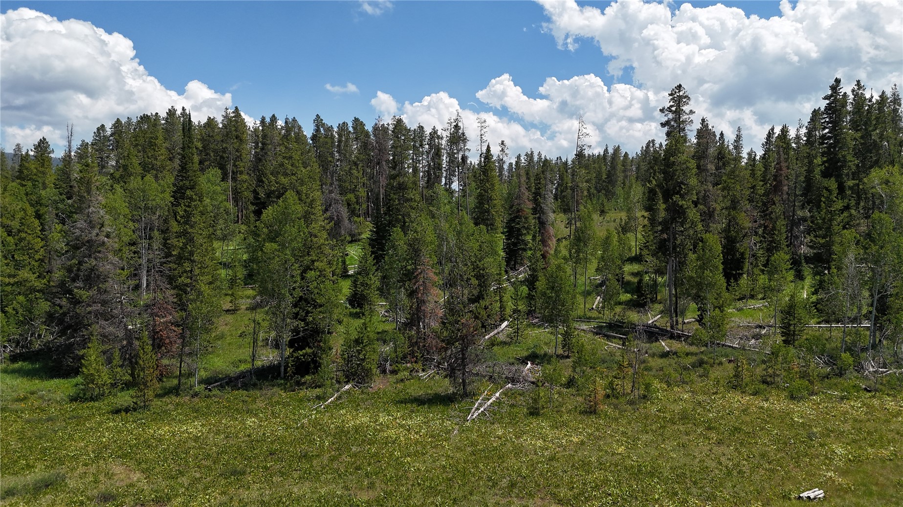 33415 Filly Trail Oak Creek CO 80467