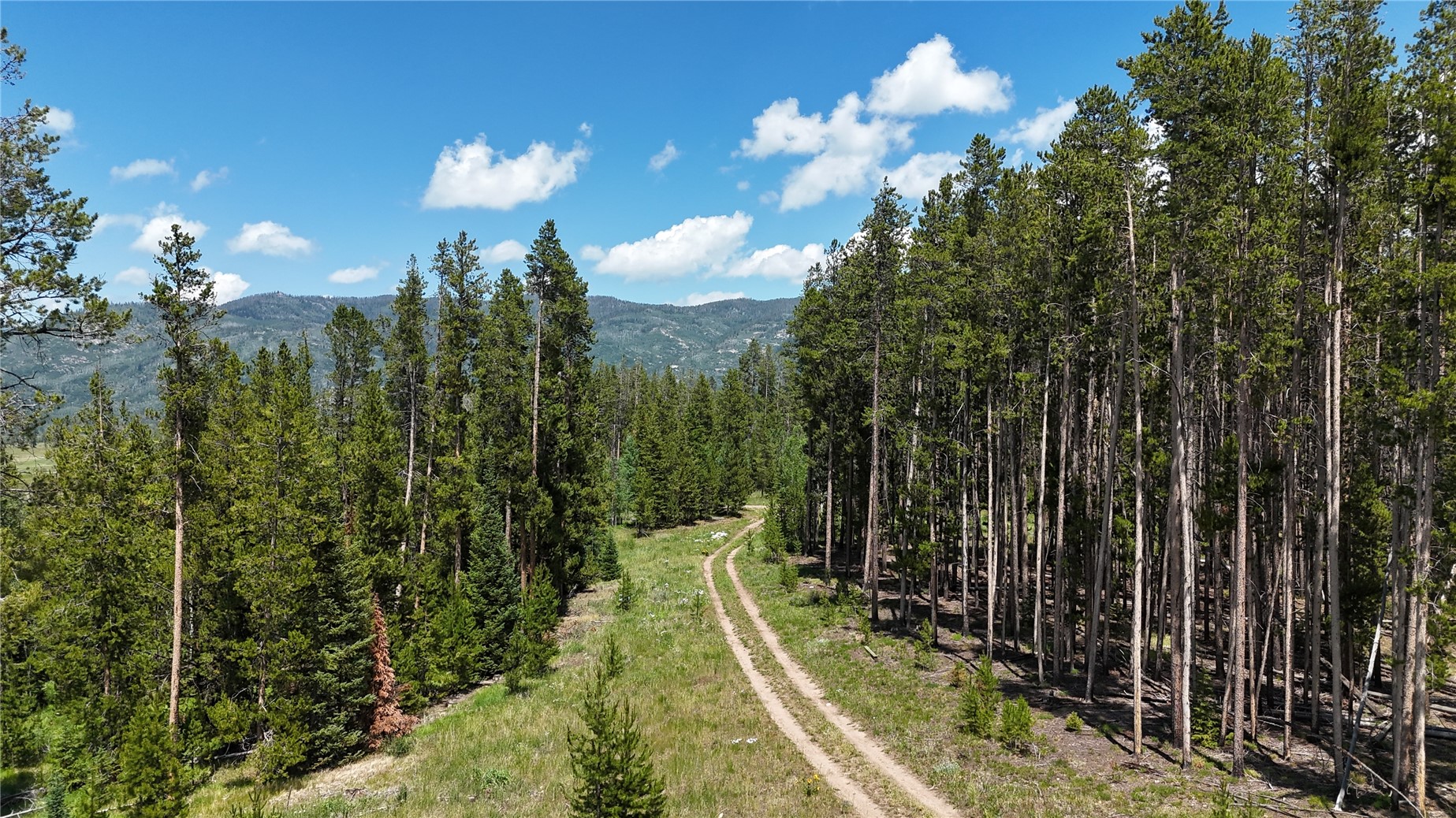 33415 Filly Trail Oak Creek CO 80467