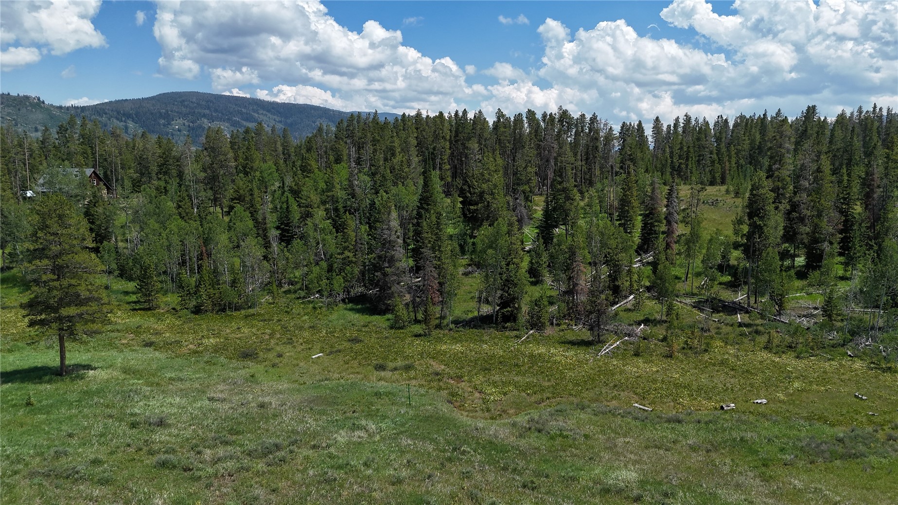 33415 Filly Trail Oak Creek CO 80467