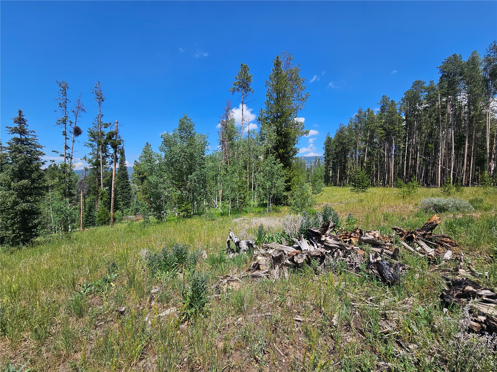 33415 Filly Trail Oak Creek CO 80467