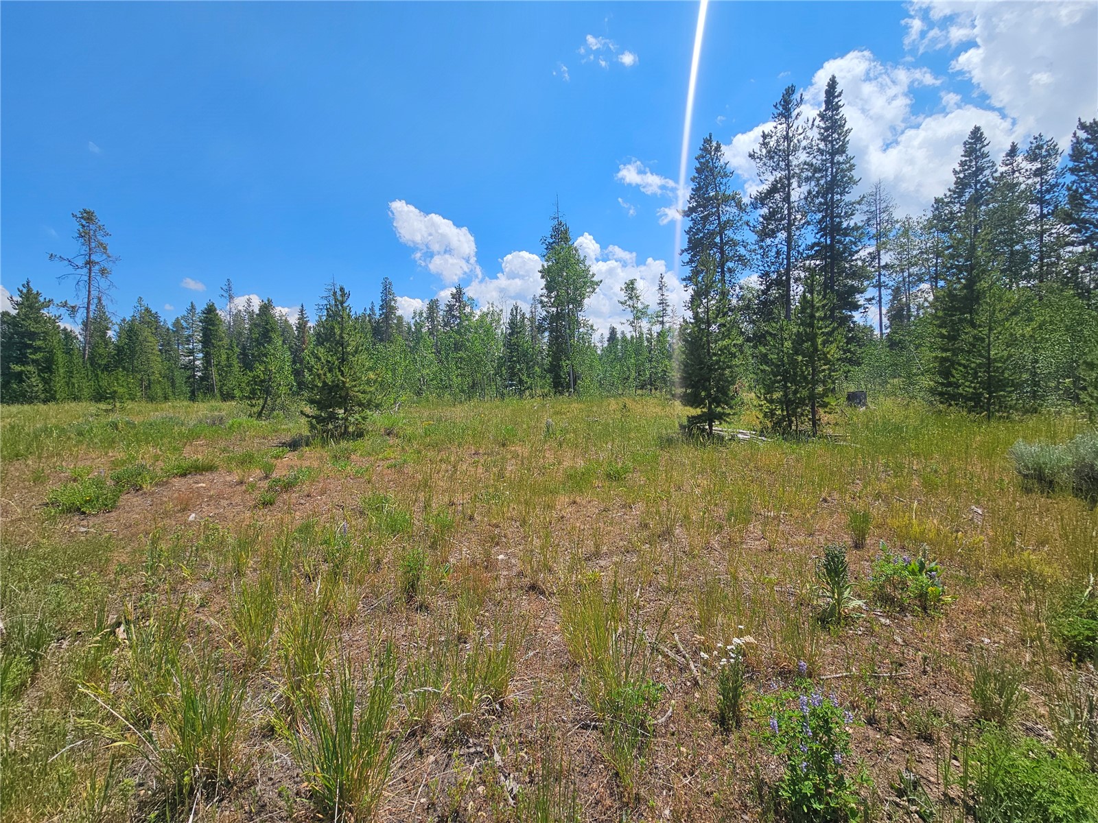 33415 Filly Trail Oak Creek CO 80467