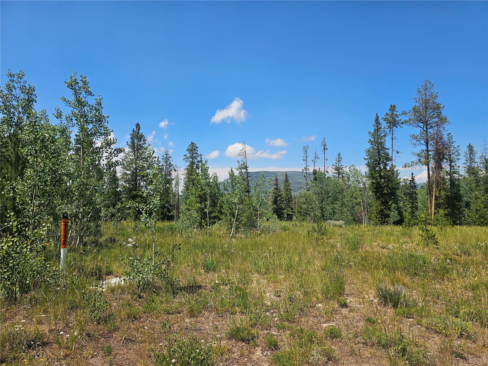 33415 Filly Trail Oak Creek CO 80467