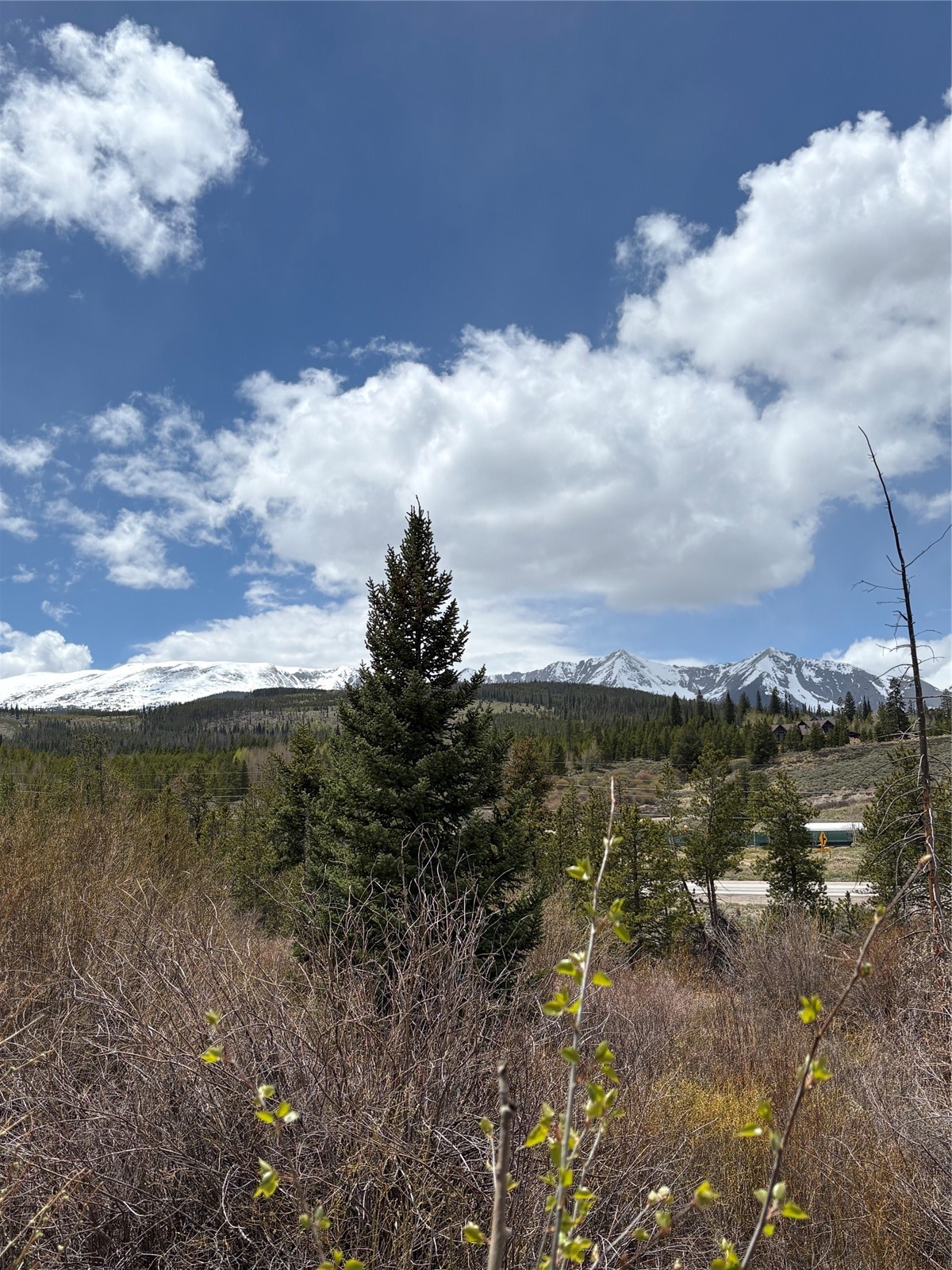 85 Revett Drive #363 Breckenridge CO 80424