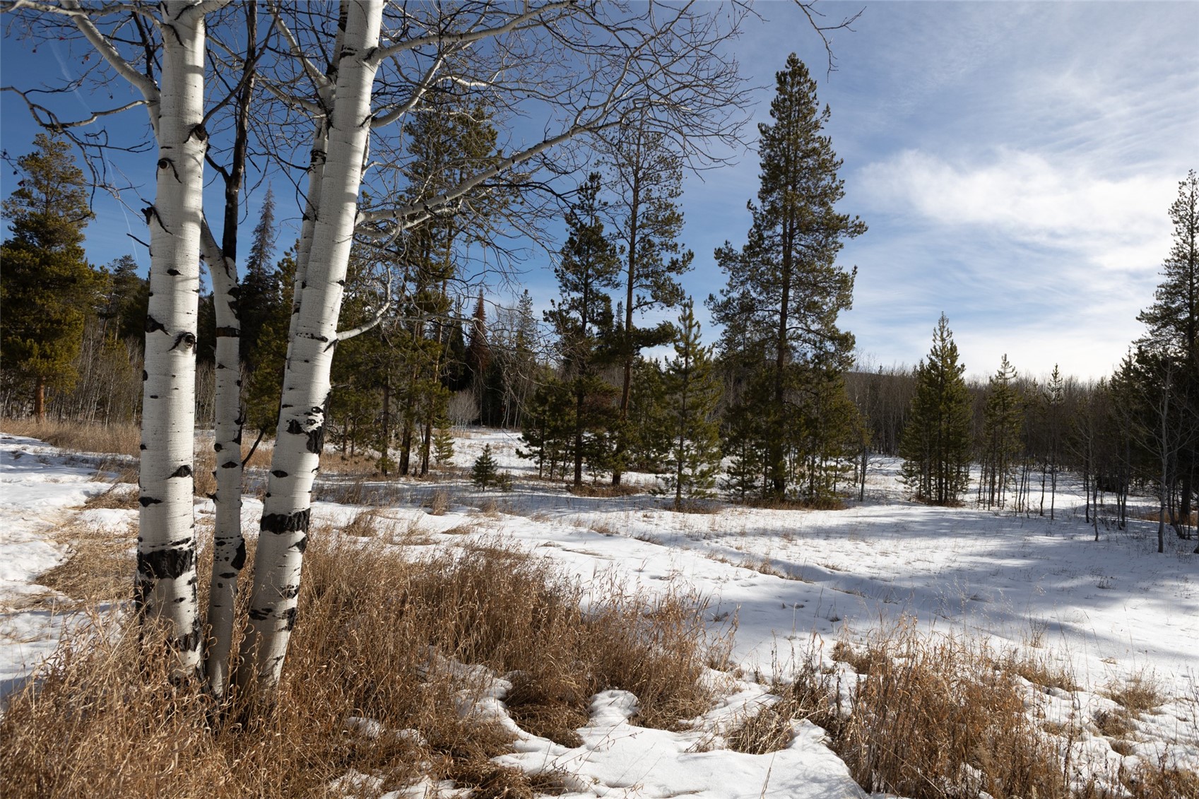 Tbd Lot 1 Horseback Bernart Subdivision Oak Creek CO 80467