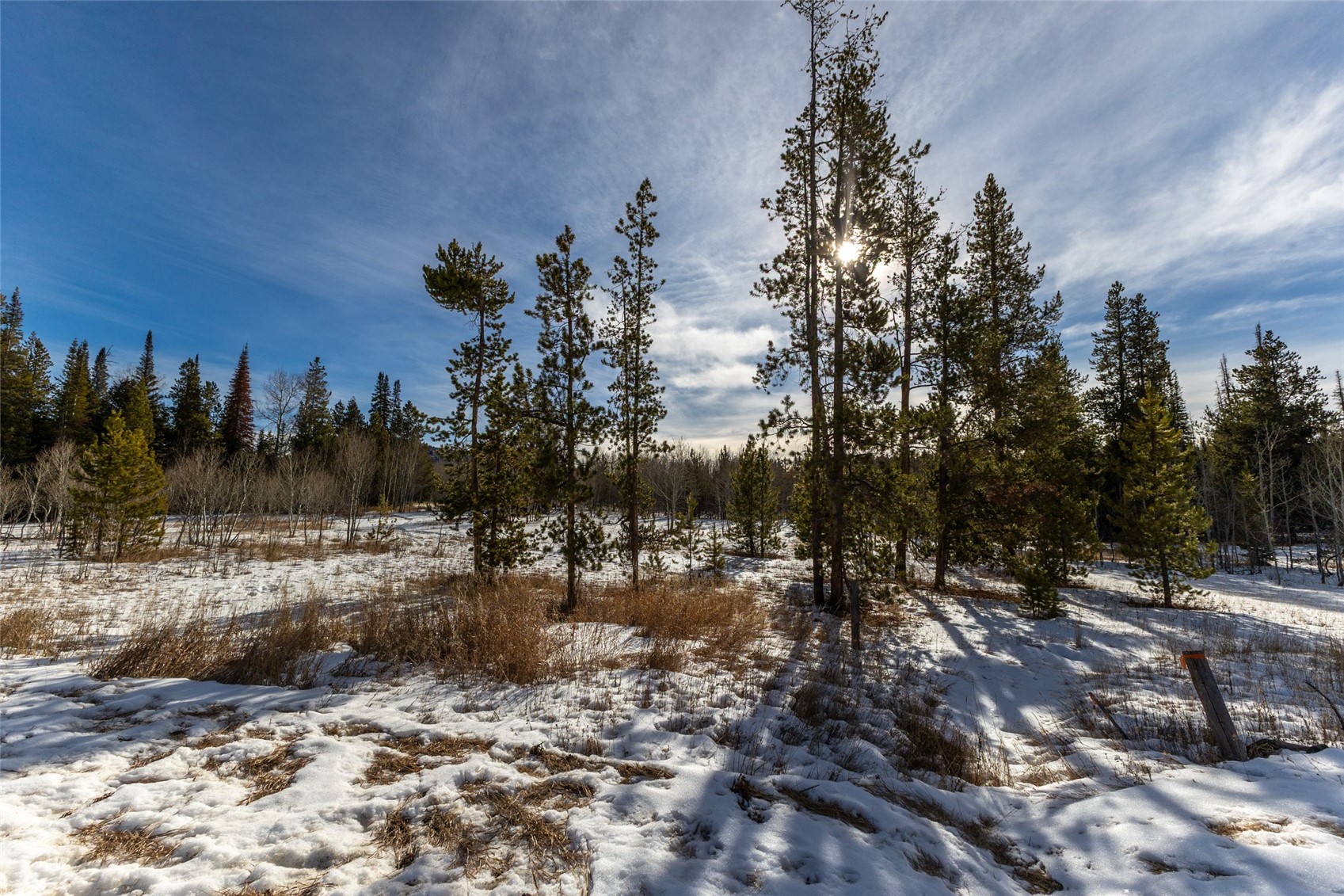 Tbd Lot 1 Horseback Bernart Subdivision Oak Creek CO 80467
