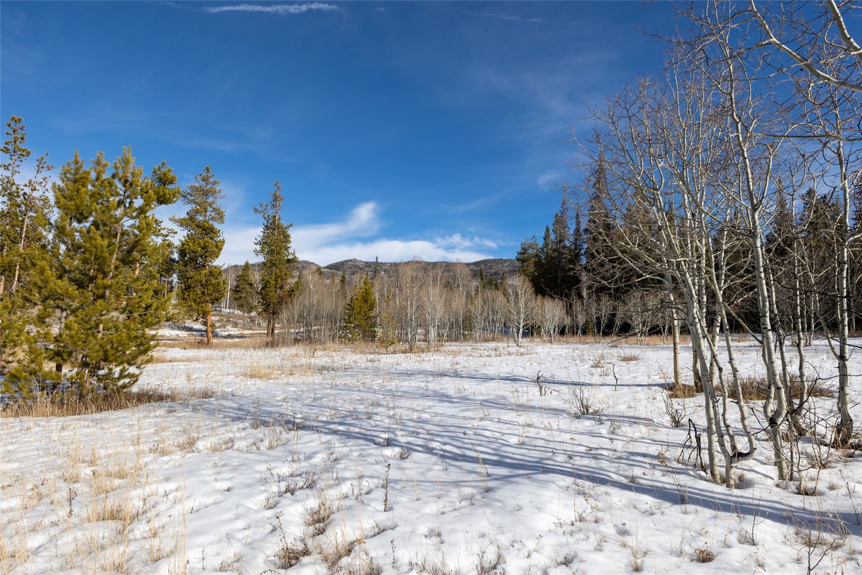 Tbd Lot 1 Horseback Bernart Subdivision Oak Creek CO 80467