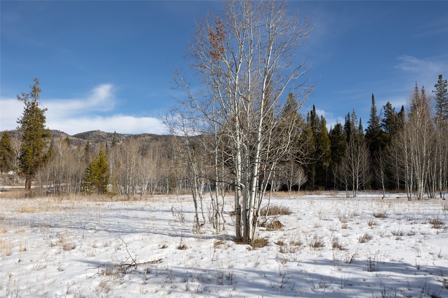 Tbd Lot 1 Horseback Bernart Subdivision Oak Creek CO 80467