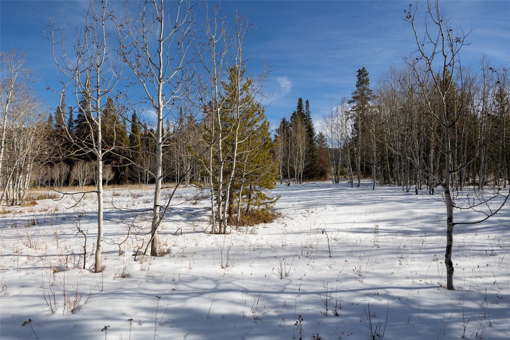 Tbd Lot 1 Horseback Bernart Subdivision Oak Creek CO 80467
