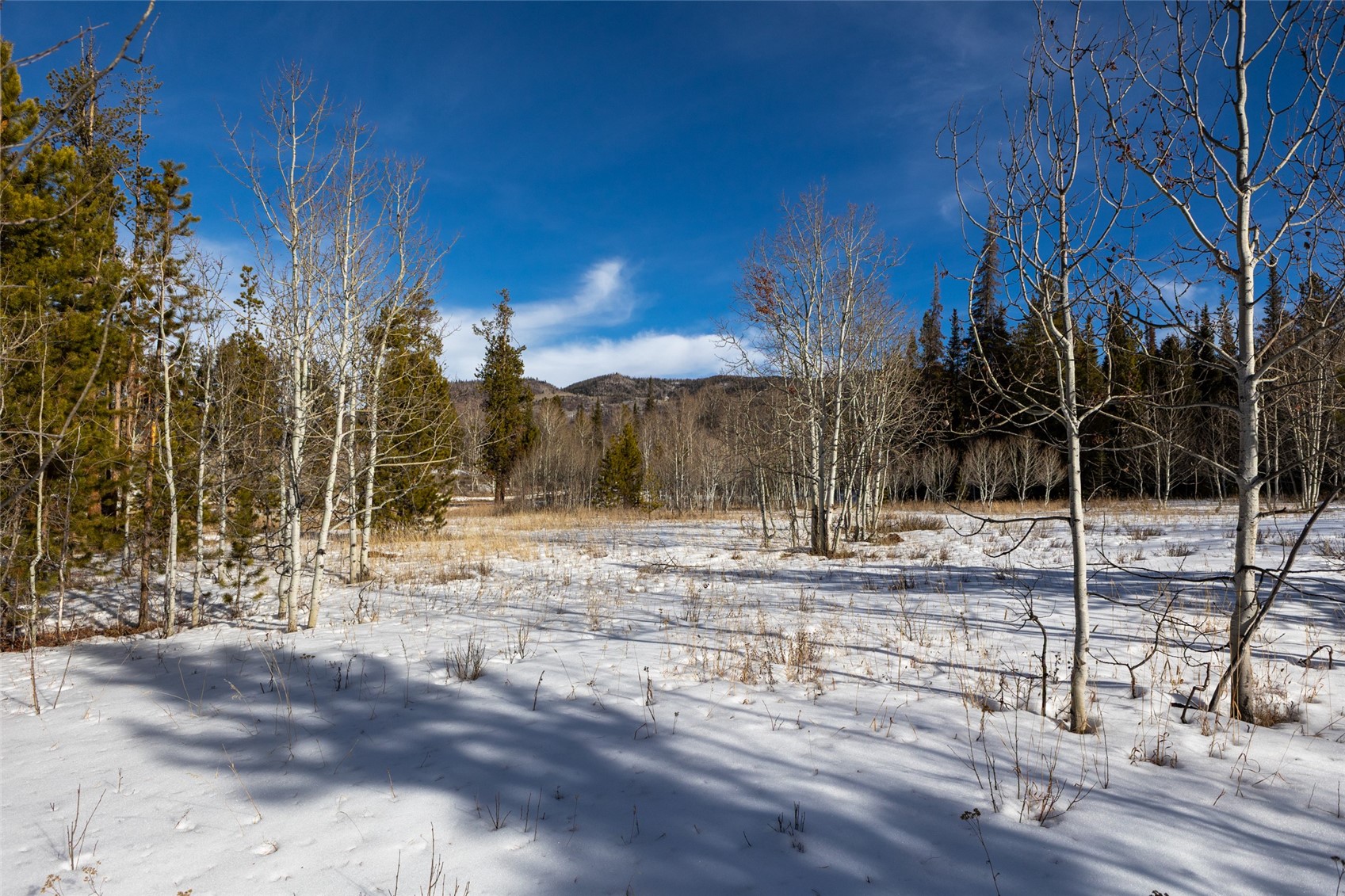 Tbd Lot 1 Horseback Bernart Subdivision Oak Creek CO 80467