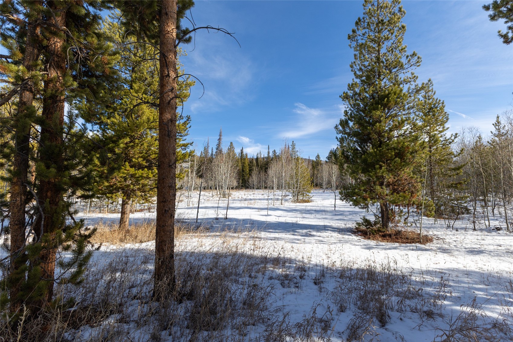 Tbd Lot 1 Horseback Bernart Subdivision Oak Creek CO 80467