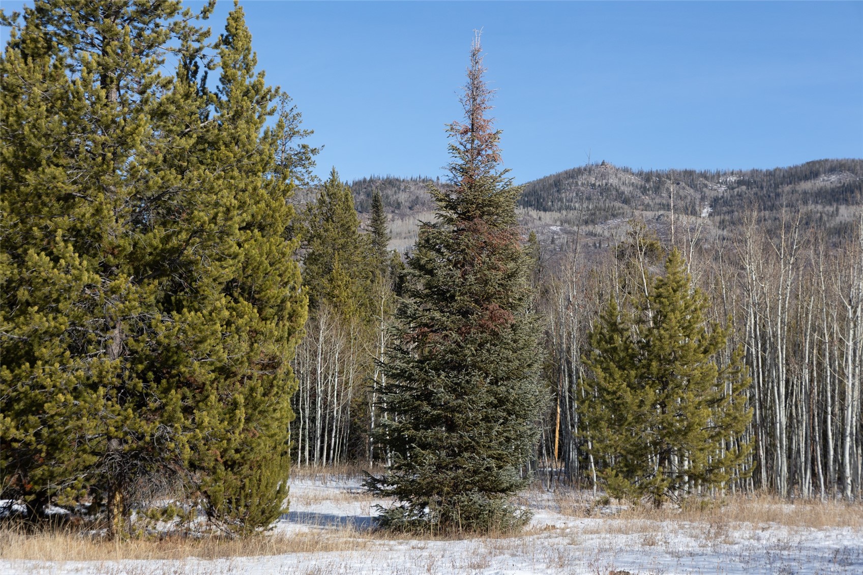 Tbd Lot 1 Horseback Bernart Subdivision Oak Creek CO 80467