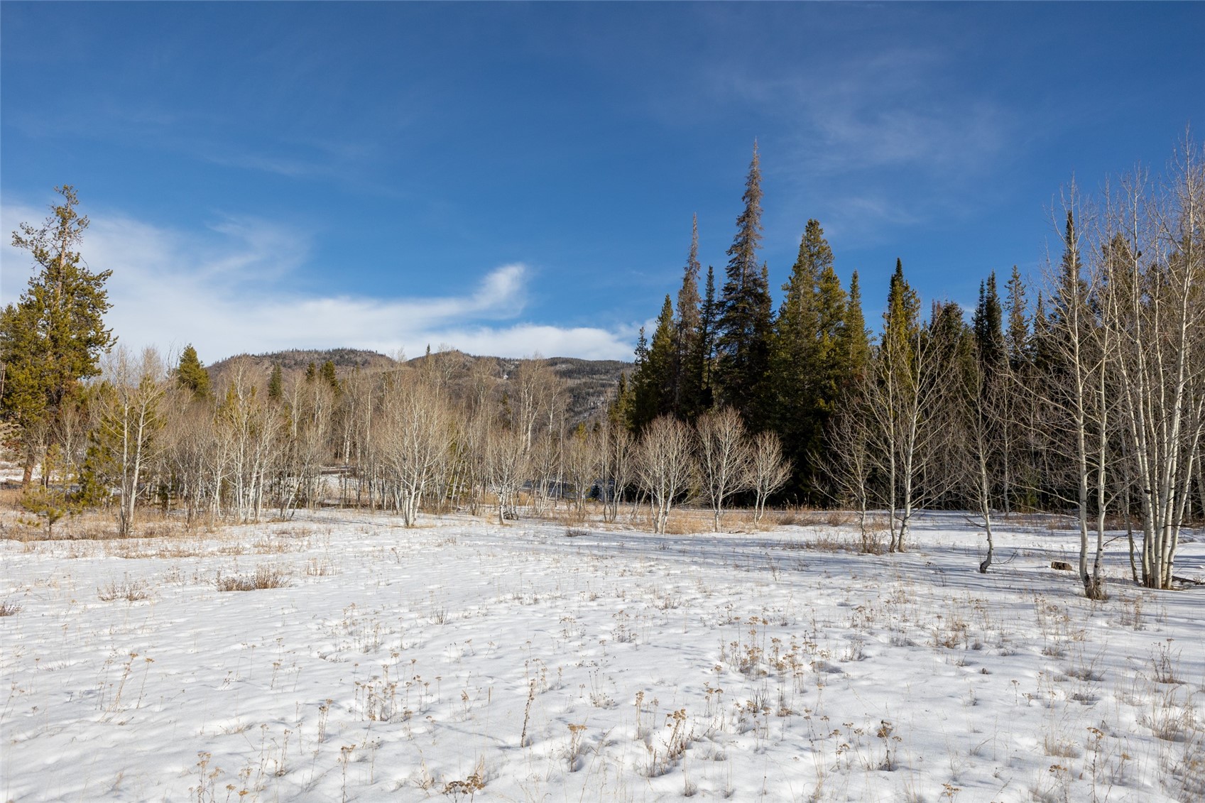 Tbd Lot 1 Horseback Bernart Subdivision Oak Creek CO 80467