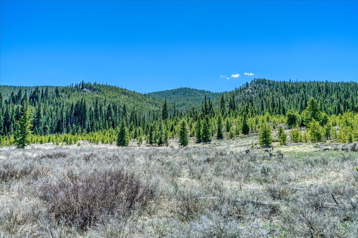 370 Meadow Wood Circle Dillon CO 80435