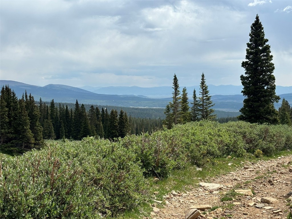 00 Alvin, Silver Cave, Little Ida Fairplay CO 80440