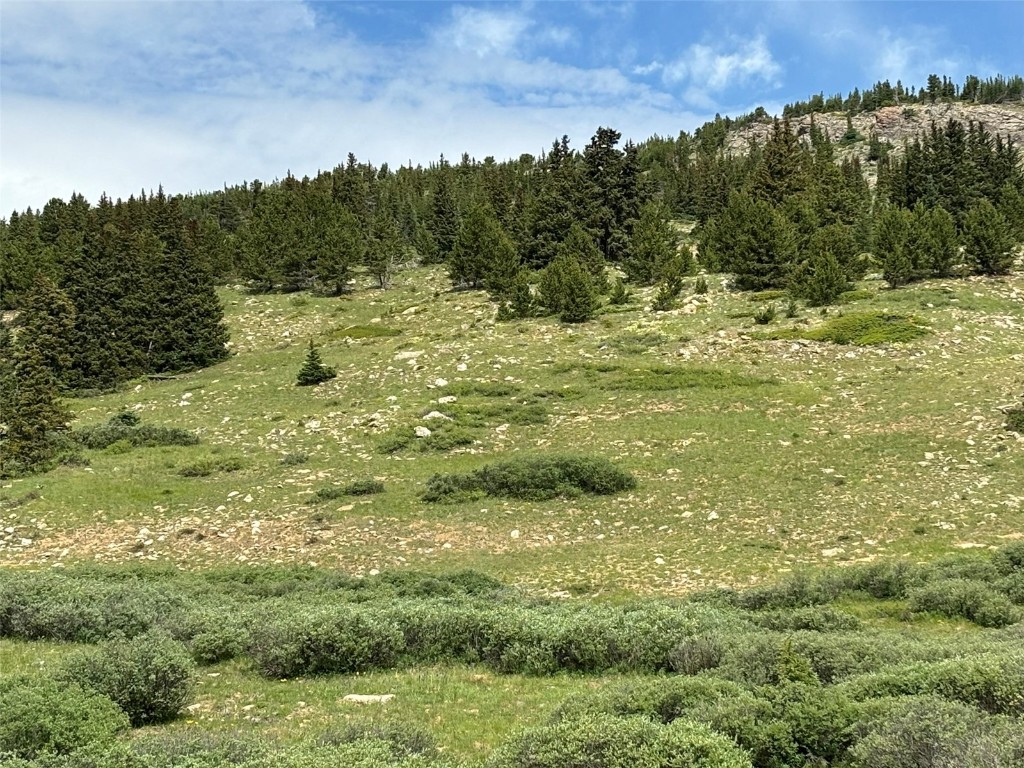 00 Alvin, Silver Cave, Little Ida Fairplay CO 80440