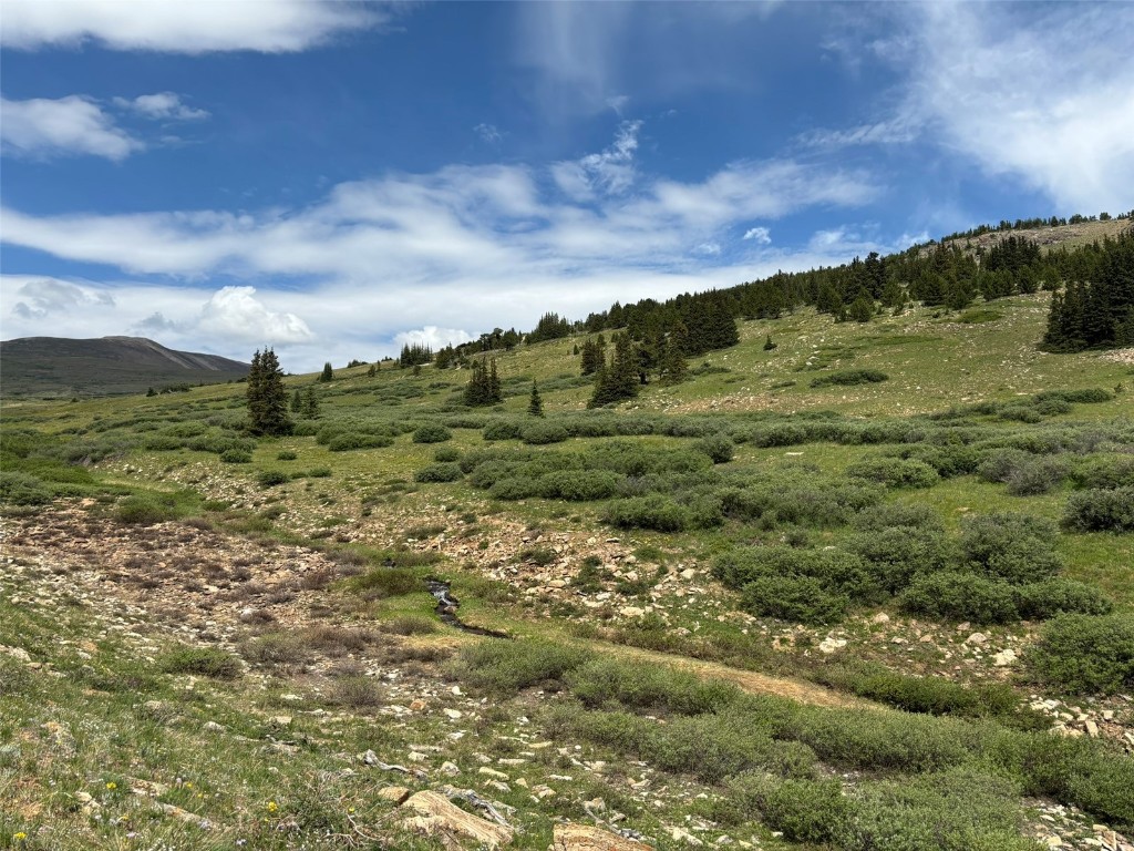 00 Alvin, Silver Cave, Little Ida Fairplay CO 80440