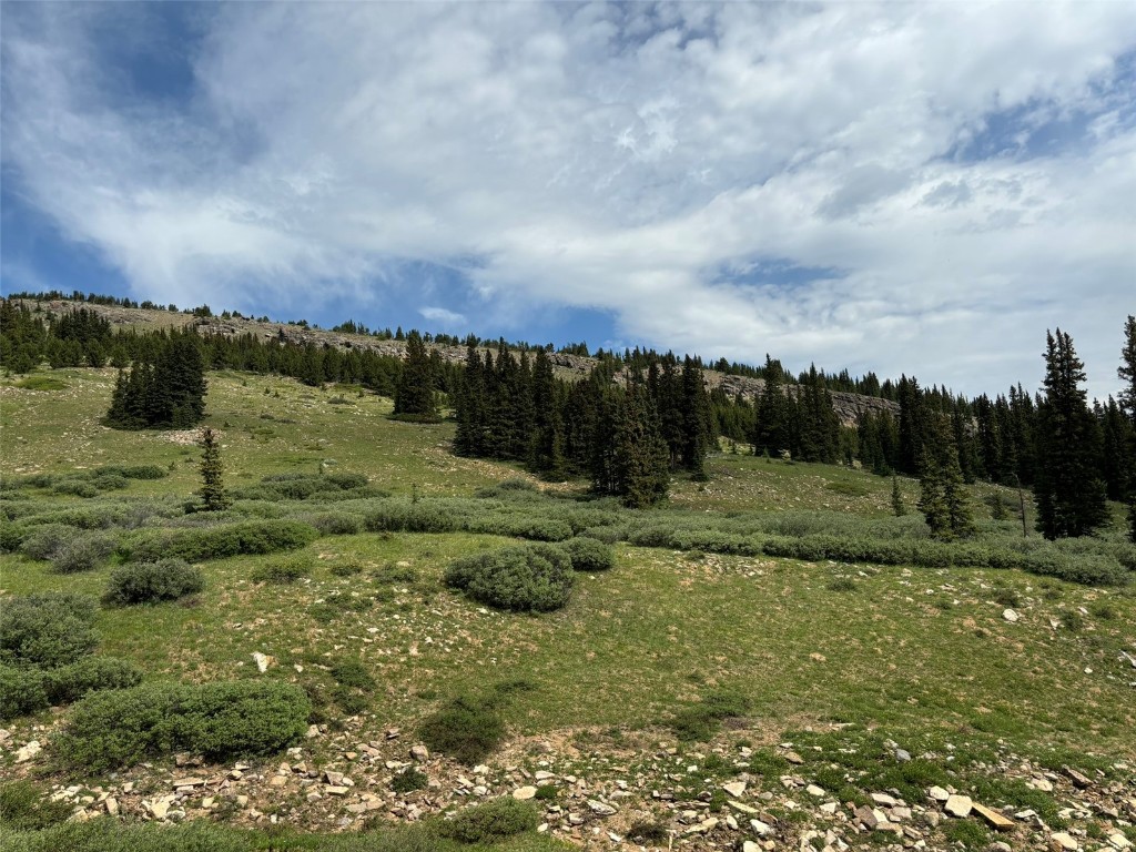 00 Alvin, Silver Cave, Little Ida Fairplay CO 80440