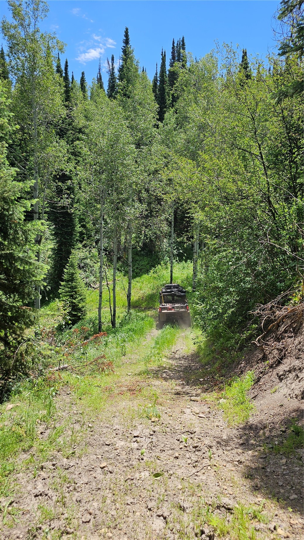 Tbd Rcr 50 Steamboat Springs CO 80487