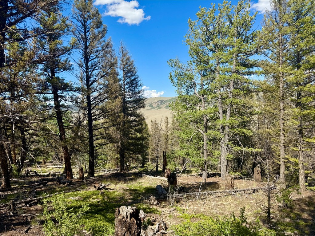 Lot 223 Middle Fork Vista Fairplay CO 80440