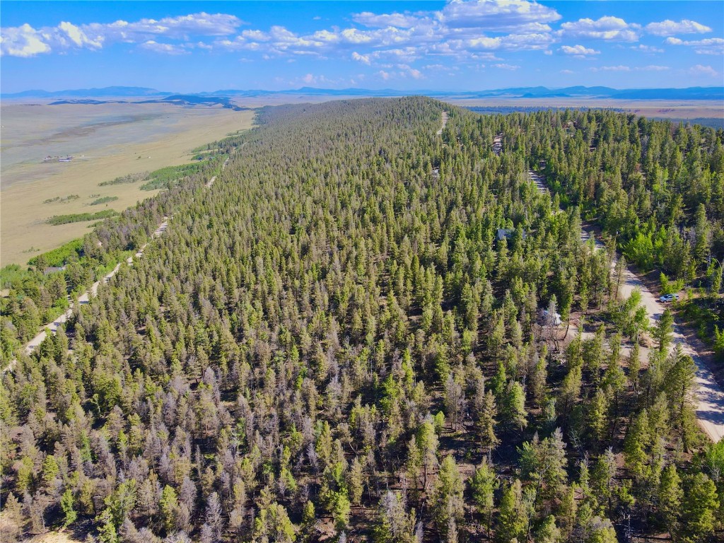 Lot 223 Middle Fork Vista Fairplay CO 80440