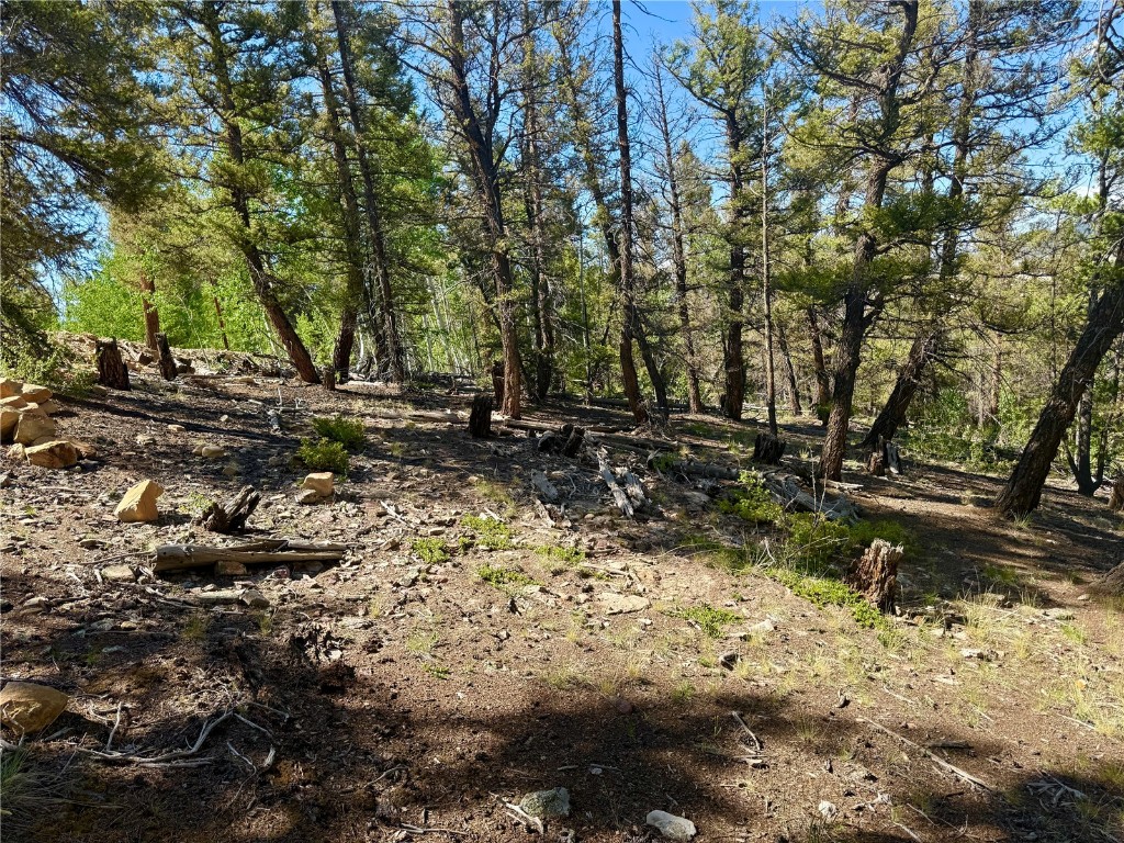 Lot 223 Middle Fork Vista Fairplay CO 80440
