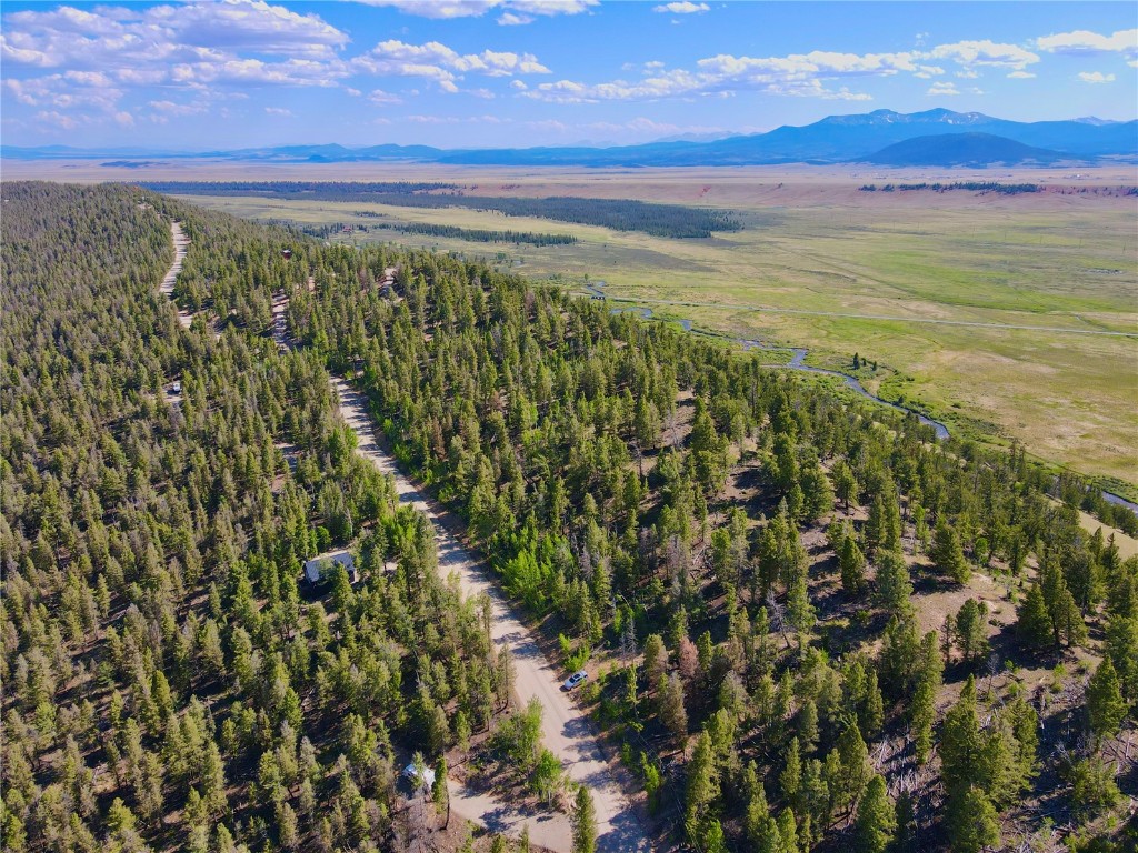 Lot 223 Middle Fork Vista Fairplay CO 80440