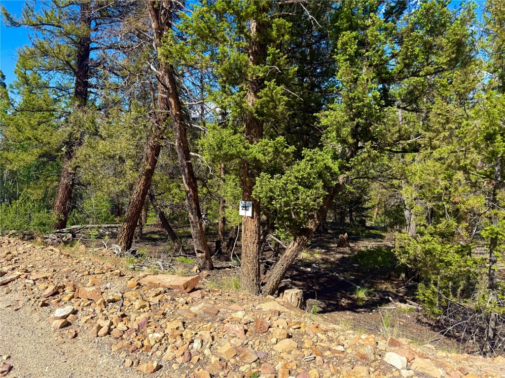 Lot 223 Middle Fork Vista Fairplay CO 80440